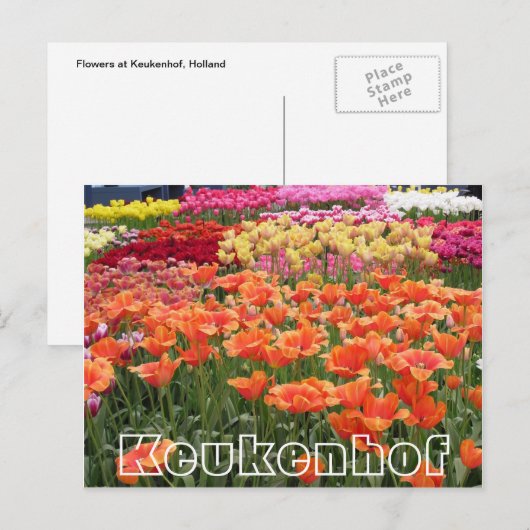 Bloemen bij Keukenhof, oranje, geel en rood Briefkaart (Voorkant / Achterkant)