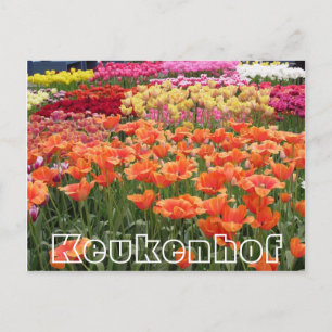Bloemen bij Keukenhof, oranje, geel en rood Briefkaart