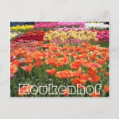 Bloemen bij Keukenhof, oranje, geel en rood Briefkaart (Voorkant)