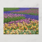 Bloemen bij Keukenhof, stromen tulpen Briefkaart (Voorkant)
