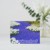 Bloemen bij Keukenhof, wit en paars Briefkaart (Staand voorkant)