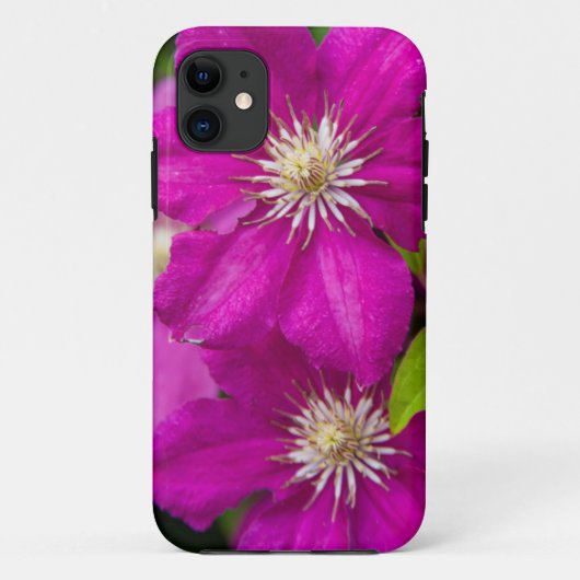 Bloemen bij Robinette's Apple Haus and Gift Barn 2 Case-Mate iPhone Case (Achterkant)