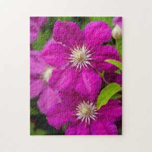Bloemen bij Robinette's Apple Haus and Gift Barn 2 Legpuzzel