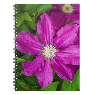 Bloemen bij Robinette's Apple Haus and Gift Barn Notitieboek