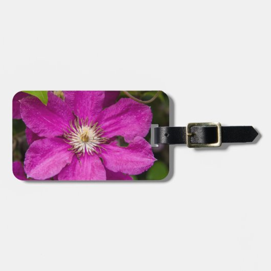 Bloemen bij Robinette's Apple Haus & Gift Barn Bagagelabel (Voorkant horizontaal)