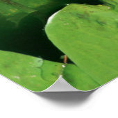 BLOEMEN BIJ SHAWS GARDEN POSTER (Hoek)