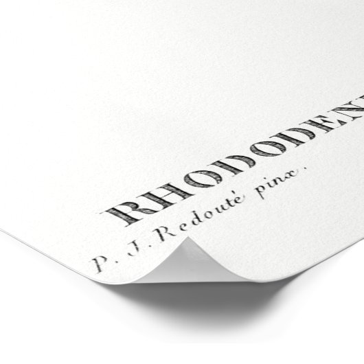 Bloemen bladeren  botanische kunst poster (Hoek)