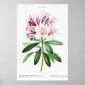Bloemen bladeren  botanische kunst poster (Voorkant)