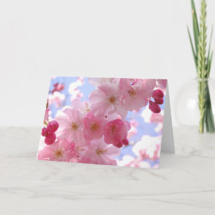 Bloemen Blank Foto Wenskaarten Kaart