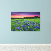 Bloemen | Blauwbijen in Sunset Texas Canvas Afdruk (Insitu (Houten vloer))