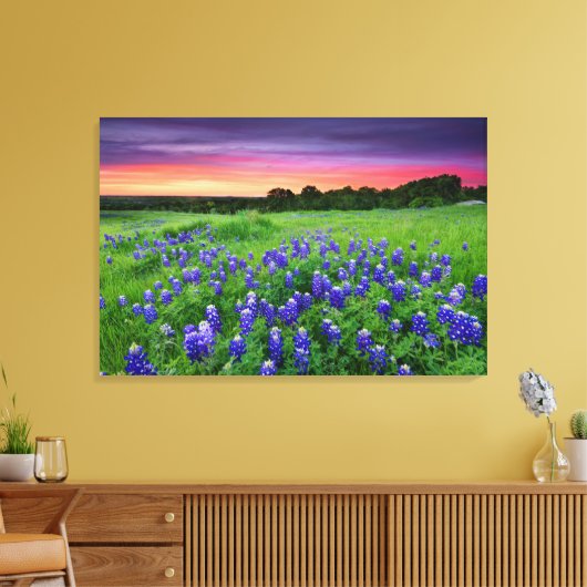 Bloemen | Blauwbijen in Sunset Texas Canvas Afdruk (Insitu (Woonkamer))