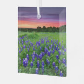 Bloemen | Blauwbijen in Sunset Texas Glas Ornament (Voorkant links)