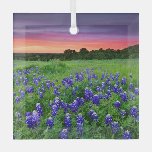 Bloemen | Blauwbijen in Sunset Texas Glas Ornament (Voorkant)