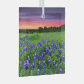 Bloemen | Blauwbijen in Sunset Texas Glas Ornament (Voorkant Rechts)