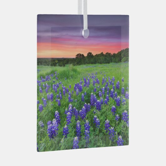 Bloemen | Blauwbijen in Sunset Texas Glas Ornament (Voorkant Rechts)