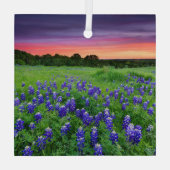 Bloemen | Blauwbijen in Sunset Texas Glas Ornament (Achterkant)