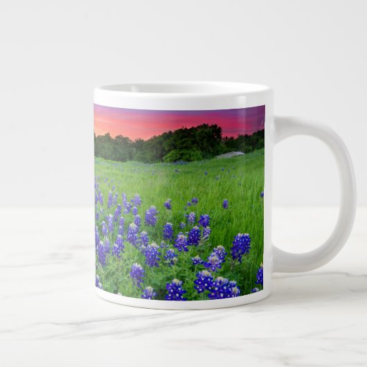 Bloemen | Blauwbijen in Sunset Texas Grote Koffiekop (Rechts)