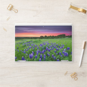 Bloemen   Blauwbijen in Sunset Texas HP Laptopsticker