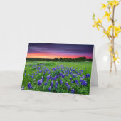 Bloemen | Blauwbijen in Sunset Texas Kaart (Gele Bloem)