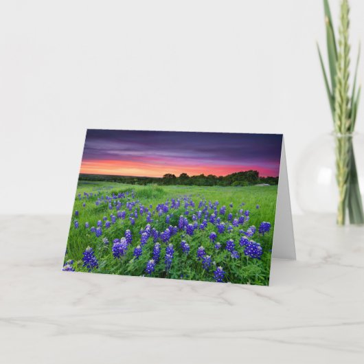 Bloemen | Blauwbijen in Sunset Texas Kaart (Voorkant)
