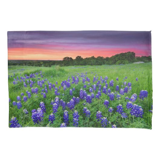 Bloemen | Blauwbijen in Sunset Texas Kussensloop (Voorkant)