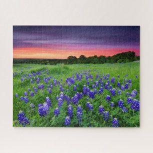 Bloemen   Blauwbijen in Sunset Texas Legpuzzel