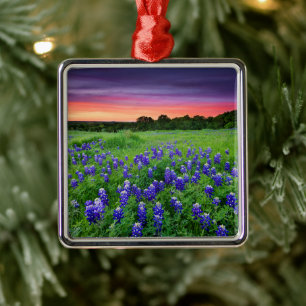 Bloemen Blauwbijen in Sunset Texas Metalen Ornament