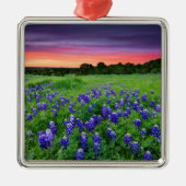 Bloemen | Blauwbijen in Sunset Texas Metalen Ornament (Voorkant)