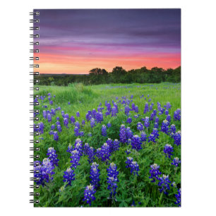 Bloemen Blauwbijen in Sunset Texas Notitieboek