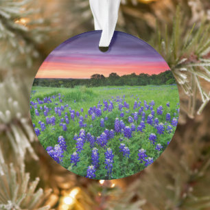 Bloemen Blauwbijen in Sunset Texas Ornament