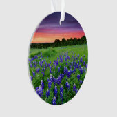 Bloemen | Blauwbijen in Sunset Texas Ornament (voorkant)