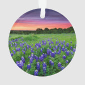 Bloemen | Blauwbijen in Sunset Texas Ornament (achterkant)