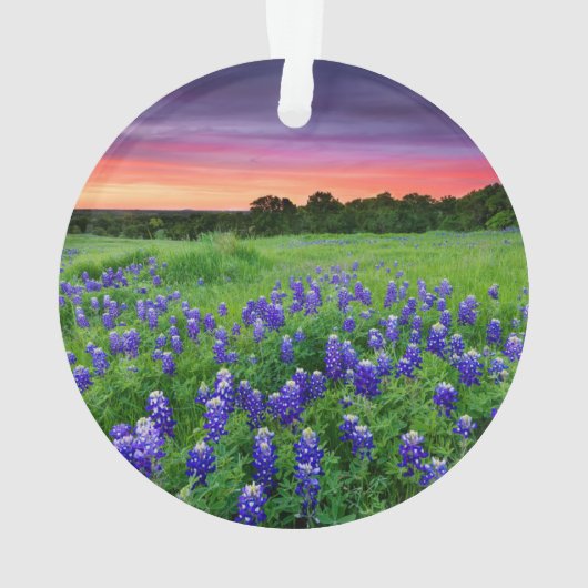 Bloemen | Blauwbijen in Sunset Texas Ornament (achterkant)