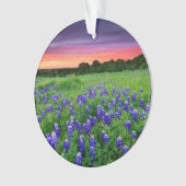 Bloemen | Blauwbijen in Sunset Texas Ornament (voorkant)