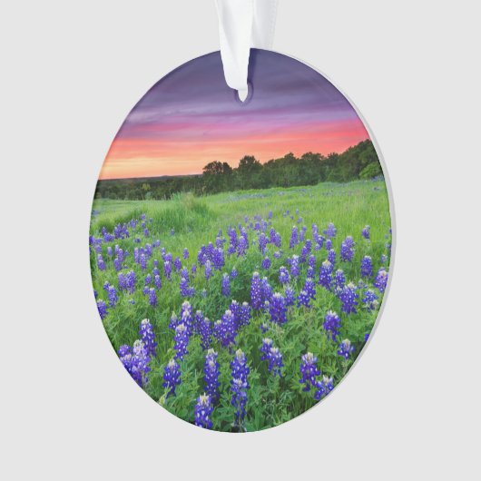 Bloemen | Blauwbijen in Sunset Texas Ornament (voorkant)