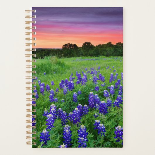 Bloemen | Blauwbijen in Sunset Texas Planner (Voorkant)