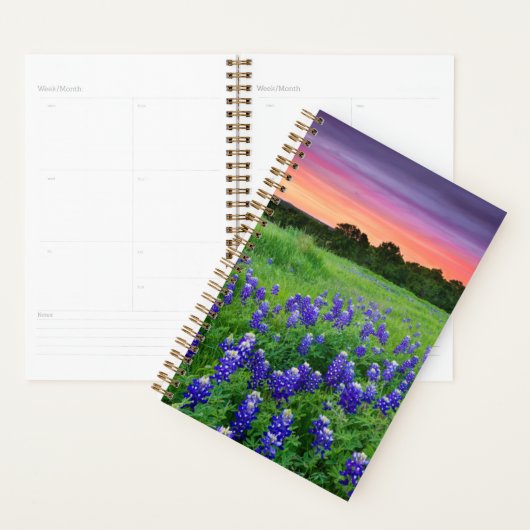 Bloemen | Blauwbijen in Sunset Texas Planner (Display)