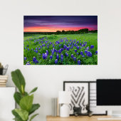 Bloemen | Blauwbijen in Sunset Texas Poster (Thuiskantoor)