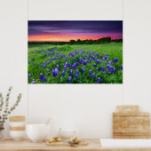 Bloemen | Blauwbijen in Sunset Texas Poster (Keuken)