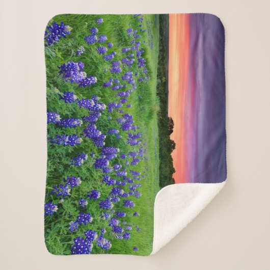 Bloemen | Blauwbijen in Sunset Texas Sherpa Deken (Voorkant)