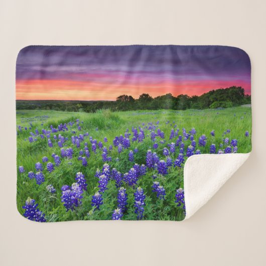 Bloemen | Blauwbijen in Sunset Texas Sherpa Deken (Voorkant (horizontaal))