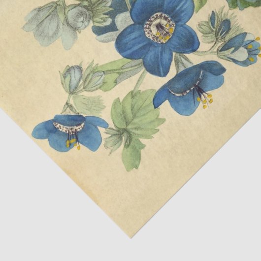 Bloemen Blauwe Bloemen Ephemera Decoupage Ti Tissuepapier (Detail)