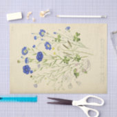 Bloemen Blauwe Bloemen Ephemera Decoupage Tissuepapier (Craft)
