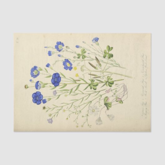 Bloemen Blauwe Bloemen Ephemera Decoupage Tissuepapier (Voorkant)