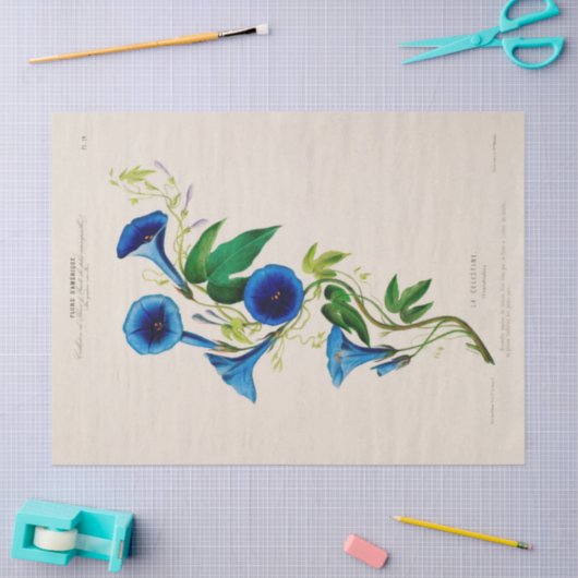 Bloemen Blauwe Bloemen Ephemera Decoupage Tissuepapier (Craft)