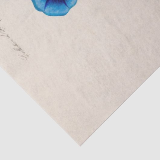 Bloemen Blauwe Bloemen Ephemera Decoupage Tissuepapier (Detail)