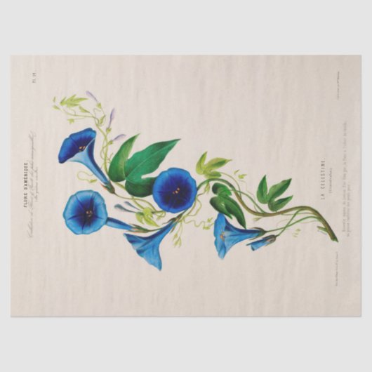  Bloemen Blauwe Bloemen Ephemera Decoupage Tissuepapier (Voorkant)