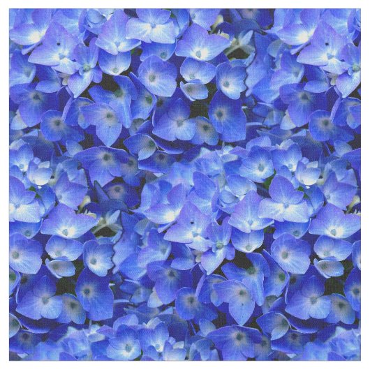 Bloemen blauwe hydrangea plant sjabloon stof (Close Up)