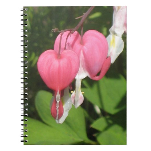 Bloemen Bloedend Hart - Foto Notitieboek 80 pagina (Voorkant)