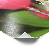 Bloemen Bloedend Hart Pro Kodak Satijn Foto Print Foto Afdruk (Hoek)